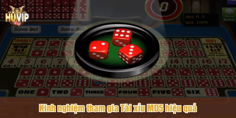 Kinh nghiệm tham gia Tài xỉu MD5 hiệu quả