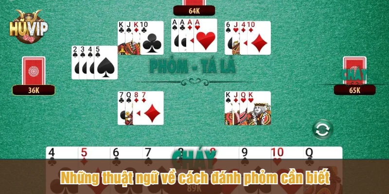 Những thuật ngữ về cách đánh phỏm cần biết